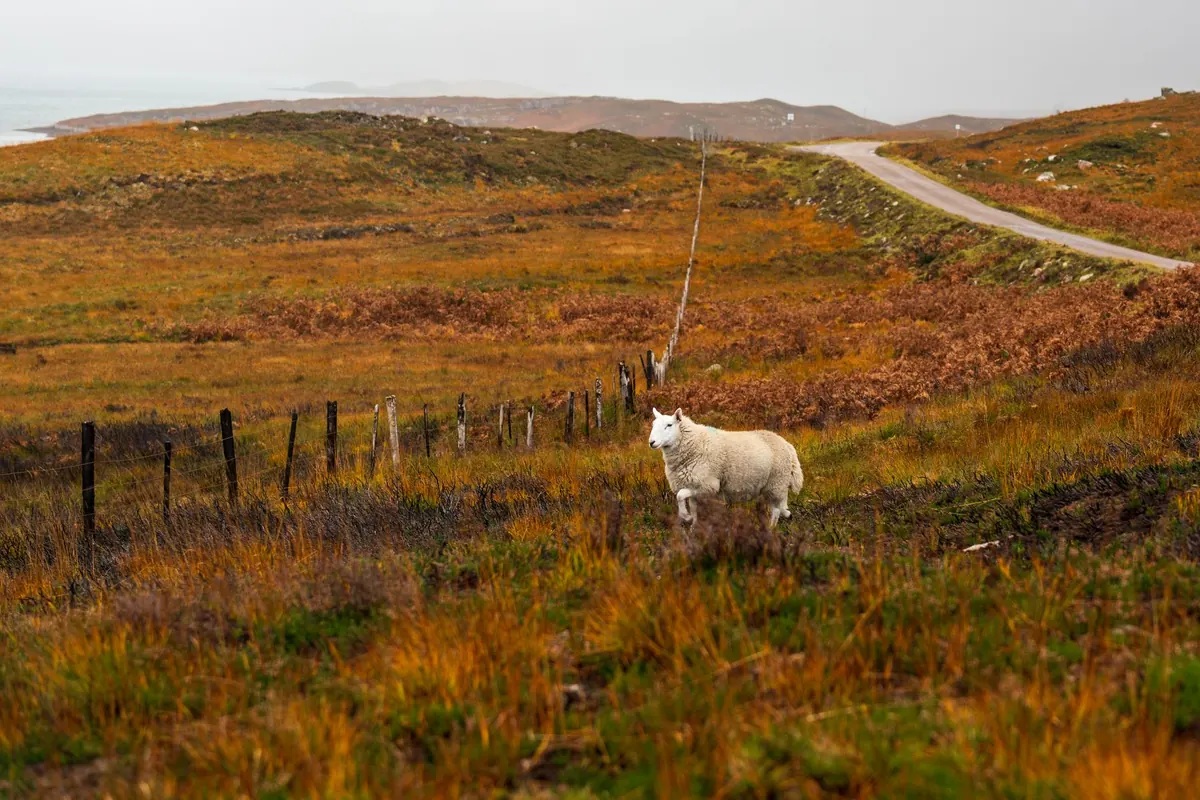 A Three-Day Pennine Road Trip: Manchester to Newcastle with Stops, Timings and Parking